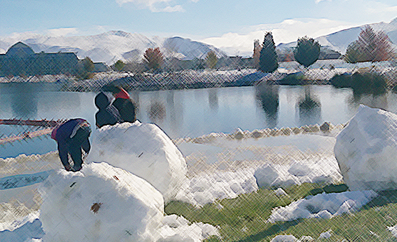 Marina Parks Snowday on the 77 Acre Marina