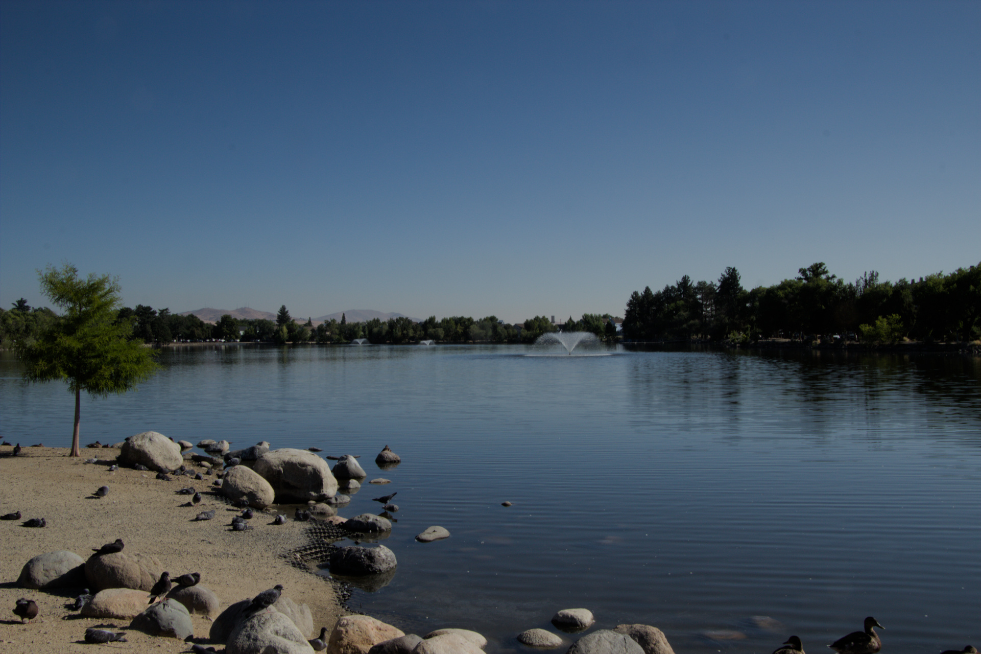 Central Urban Design Renown Medical Center
