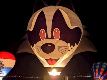 Hot air balloon of a raccoon