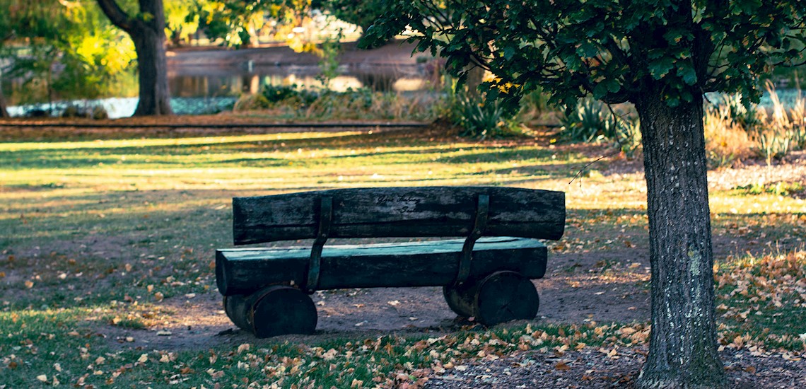 Park bench at Idlewild Park
