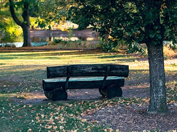 Park bench at Idlewild Park